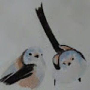 Meet your Posher, Marina